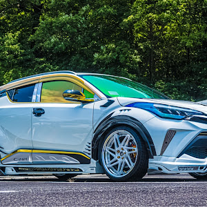 C-HR ZYX11