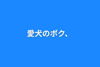 愛犬のポク、