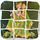 Radha Krishna Puzzle