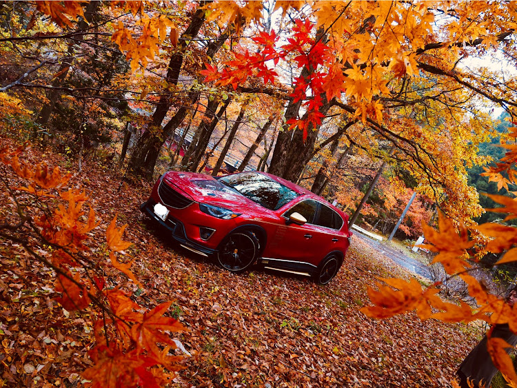 CX-5のシンシューベリーマッチ・せせらぎ街道ドライブ・紅葉と愛車・冬はおとなしくしてます。・でも近場プチMTはやりたいね。に関するカスタム事例の投稿画像1枚目