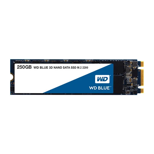 SSD WD 250GB WDS250G2B0B (M2-2280)_1