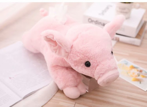 Title 1, Car tissue box