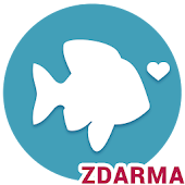 POF Seznámování Zdarma