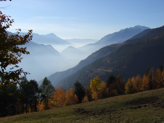 Autunno valtellinese di lele72