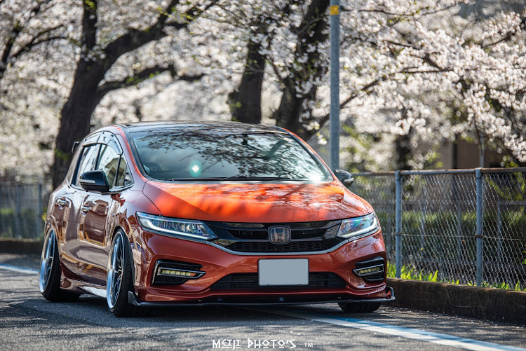 ジェイドの桜と愛車・桜が散る前に・朝からカメ活・やっと晴れた・タイヤ交換完了に関するカスタム事例の投稿画像6枚目