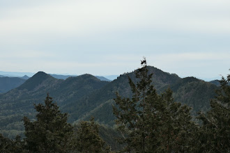 左から大平山、御殿山