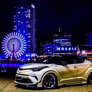 C-HR ZYX10