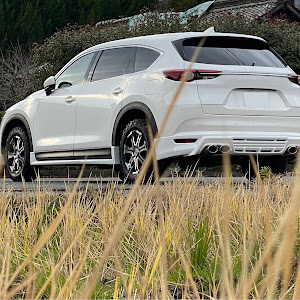 CX-8 KG2P