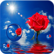 Rose GIF  Icon