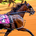 Harness Racing