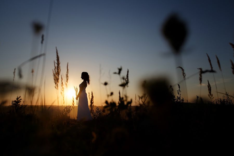 Wedding photographer Andrey Pavlov (pavlov). Photo of 13 August 2018