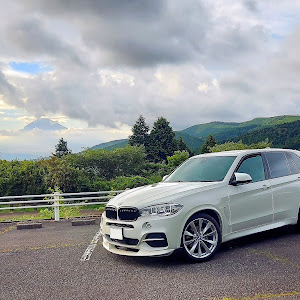 X5 F15