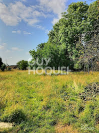 terrain à Bernay (27)