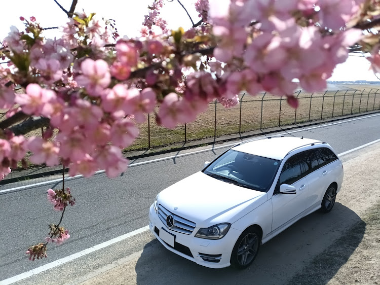Cクラス ステーションワゴンの岡山・春の風物詩と愛車・黄砂と花粉は敵・春分の日・サクラと愛車に関するカスタム事例の投稿画像2枚目