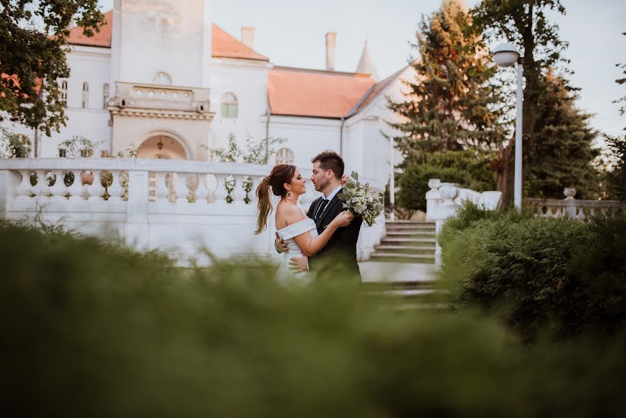 Wedding photographer Vasilije Bajilov (vasilijebajilov). Photo of 5 December 2019