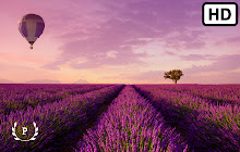 Purple Color HD Wallpapers New Tab small promo image