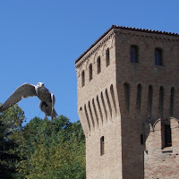 Volo medievale di 