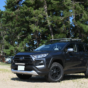 RAV4