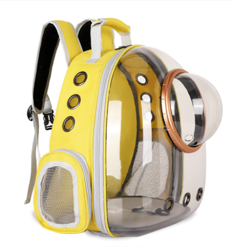 Title 6, Going Out Cat Carrying Bag Supplies Box School ...