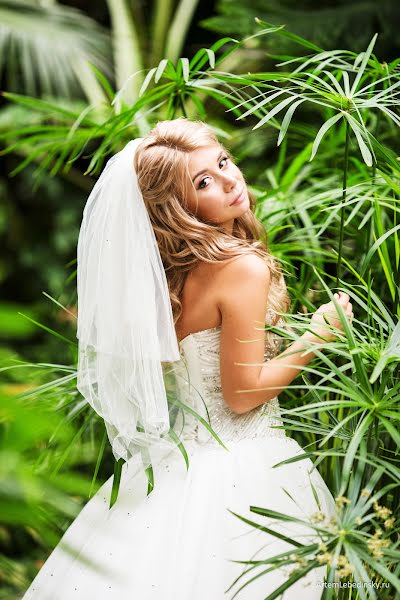 Wedding photographer Artem Lebedinskiy (artsoft). Photo of 13 May 2016