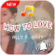 Download How To Love เสียงเรียกเข้า ALLY ริงโทน ตั้งปลุก For PC Windows and Mac 1.20.1