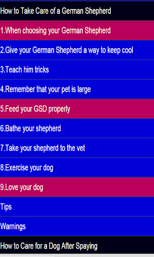 Dog care guide