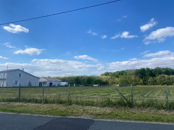 terrain à Lesparre-Médoc (33)