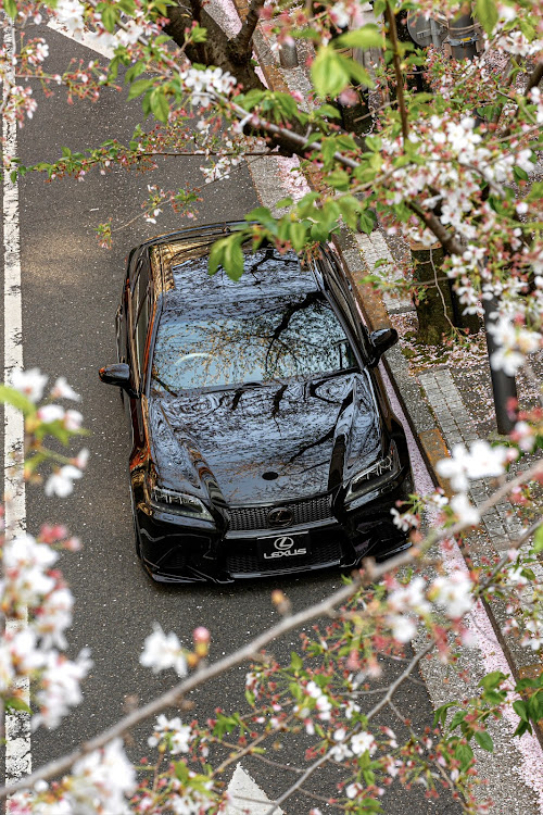 GSのレクサス10系祭り・毎月10日はL10系GSの日・サクラと愛車・桜・葉桜に関するカスタム事例の投稿画像2枚目