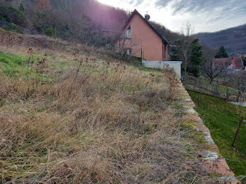 terrain à Kaysersberg (68)