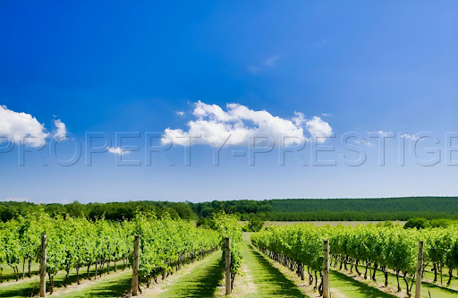 Property 3