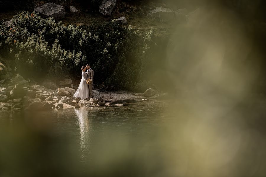 Fotografo di matrimoni Peter Ivan (peterivan). Foto del 21 febbraio 2023