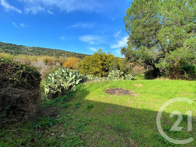 Vente terrain  3370 m² à Santa-Reparata-di-Balagna (20220), 316 000 €