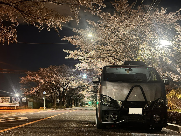 NV350キャラバンの桜とコラボ・nv350・実は5インチ・RSF・そこまで低くないのにに関するカスタム事例の投稿画像2枚目