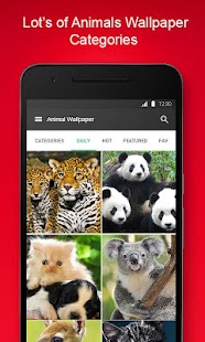 Free Free Animal Wallpaper APK for PC