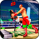 Download Ladder Fight Match: World Tag Wrestling M Install Latest APK downloader