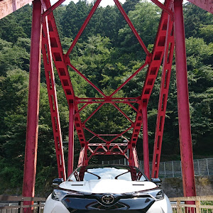 C-HR NGX10