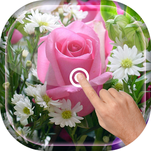 Magic Touch - Pink Rose Flower LWP Iota Icon