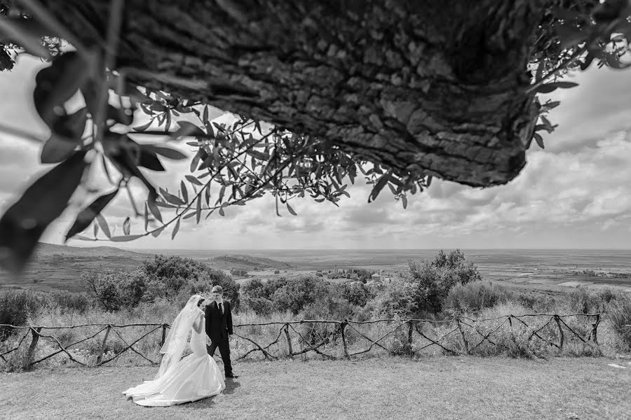 Fotografo di matrimoni Alban Negollari (negollari). Foto del 24 novembre 2014