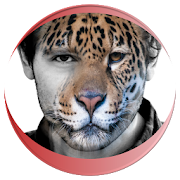 Animal Faces - Face Morphing  Icon