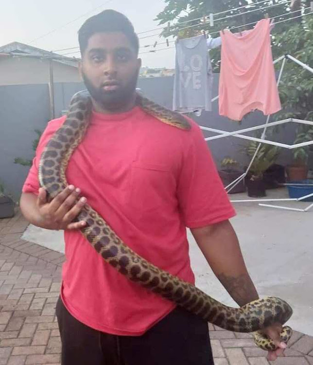 Preesen Nair said the yellow anaconda escaped in Starwood, Phoenix on Thursday. He told TimesLIVE on Monday the snake had been found.