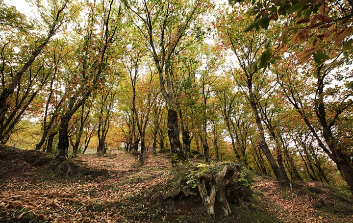 Autunno di Nando