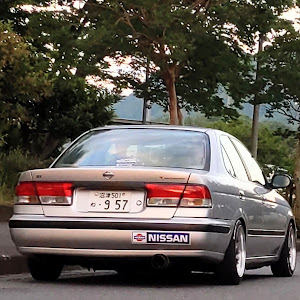 サニー B15