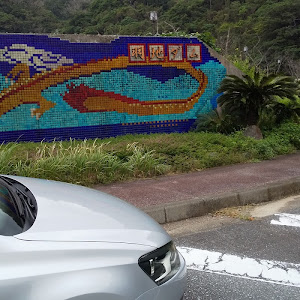 ポロ TSI 前期