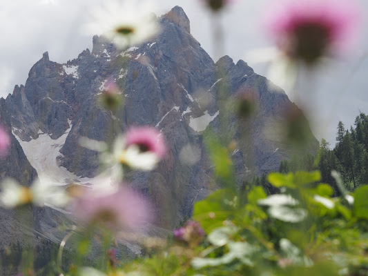 Montagne di ilcamion