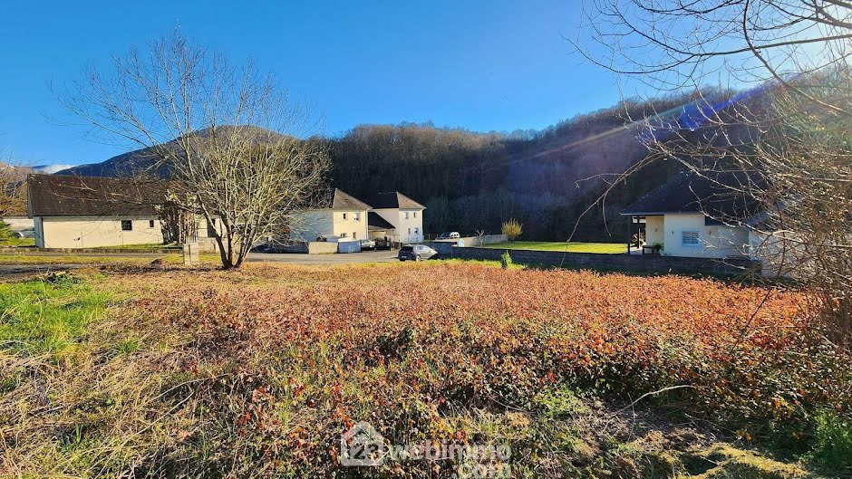 Vente terrain  1001 m² à Montaut (64800), 30 000 €