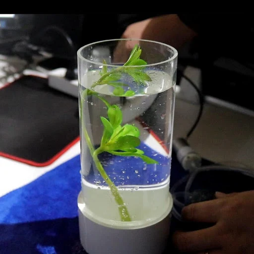 110~160mm Transparent Clear Plexiglass Pipe Home Decoration Stress Relief MINI Aquarium Fish Tank DIY Accessories Acryli