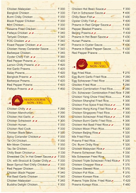 Flavours Of China menu 3