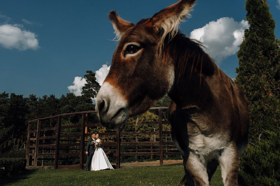 Wedding photographer Vladislav Kurochkin (vladislavkur). Photo of 25 October 2018