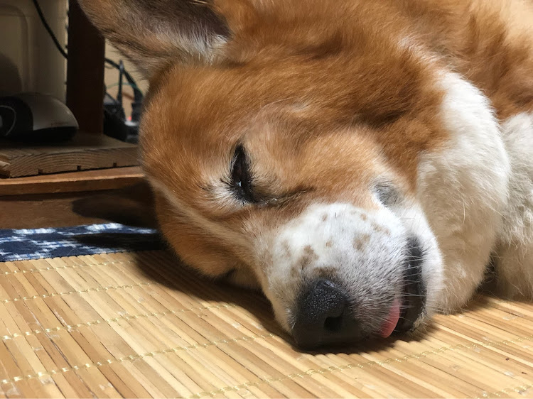 スカイライン GT-Rの尻ーズ・尻職人・ミッドナイトパーぷにーⅢ・ヌルテカ尻加工・🐶ペロ寝に関するカスタム事例の投稿画像5枚目