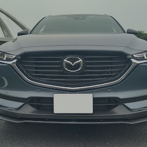 CX-8 KG2P